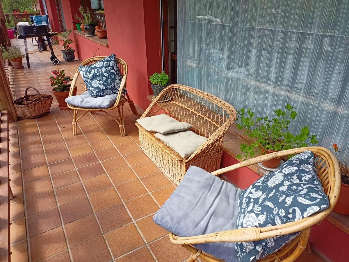 Cel I Fusta * Camprodon